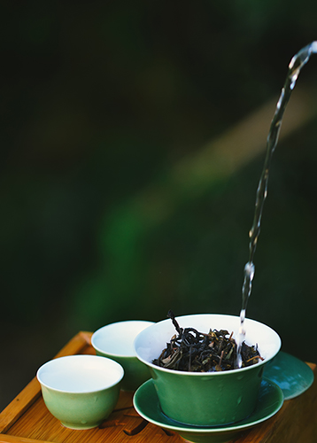 岳西翠兰茶的制作方法
