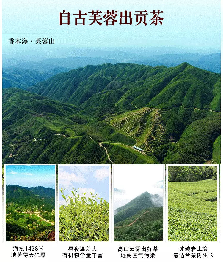 天尖黑茶药理功效|天尖黑茶功效(天尖黑茶有什么功效)