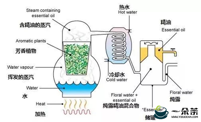 制作白片茶的四道工序