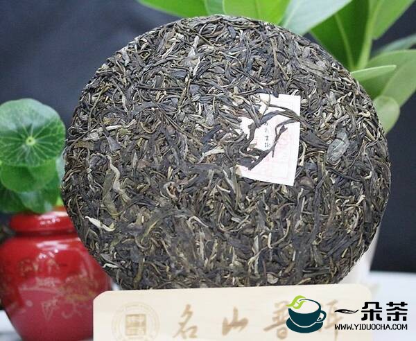 分辨易武茶真伪的心得