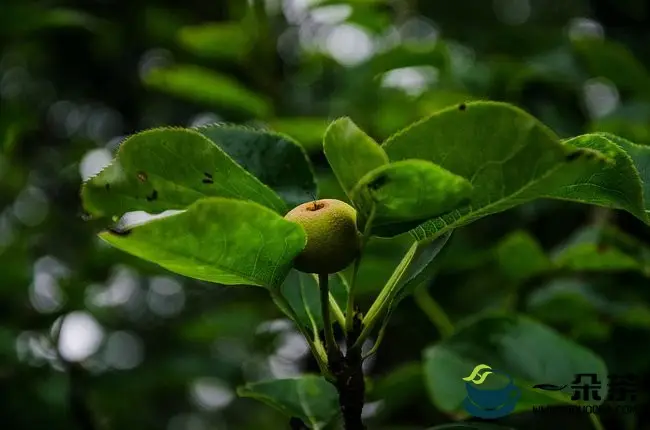 禅悟茶思茶情 亦虚亦静之美