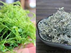 崇安龙须茶的泡法(龙须藤茶怎么泡)