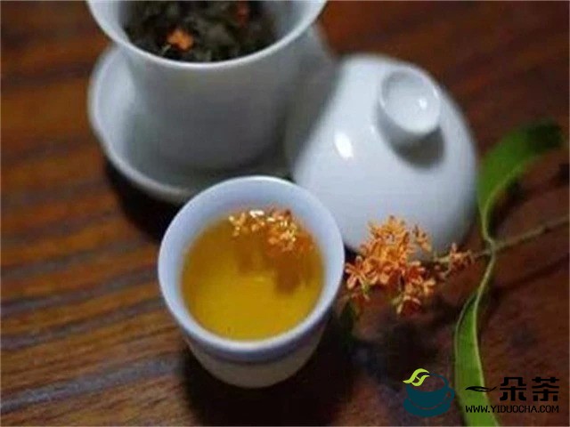 茶汁浸提工艺应注意哪些问题?(茶汁浸提工艺应注意哪些问题和建议)