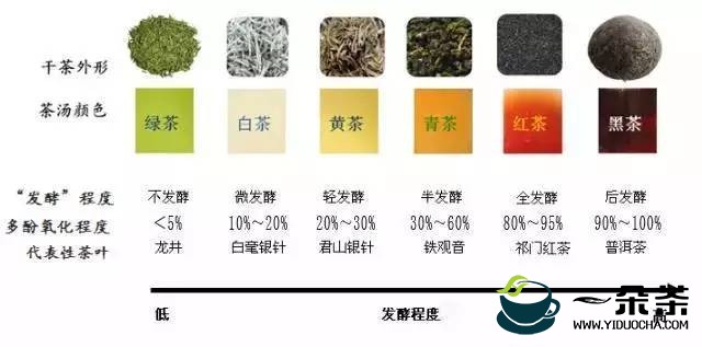 武夷“龙须茶”的采制工艺