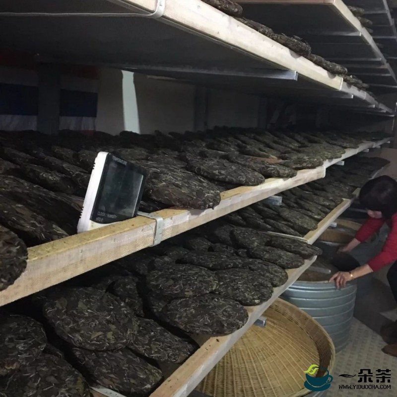 制茶工艺——烘干工艺