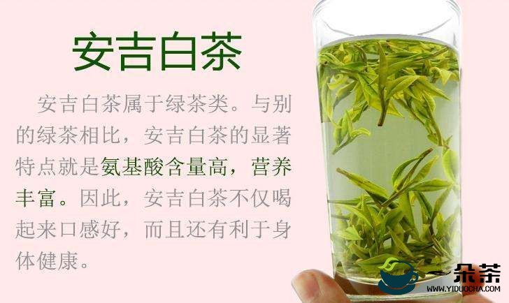 安吉白茶多少钱一斤