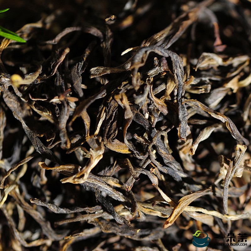 晒青茶工艺特点及其与普洱茶品质形成的关系