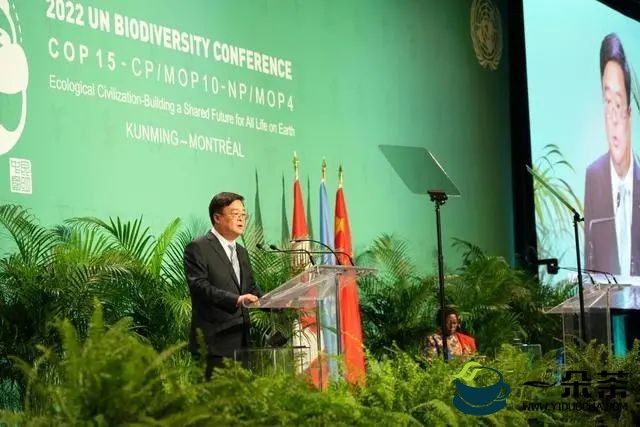 COP15第二阶段会议：云南普洱茶 香飘蒙特利尔