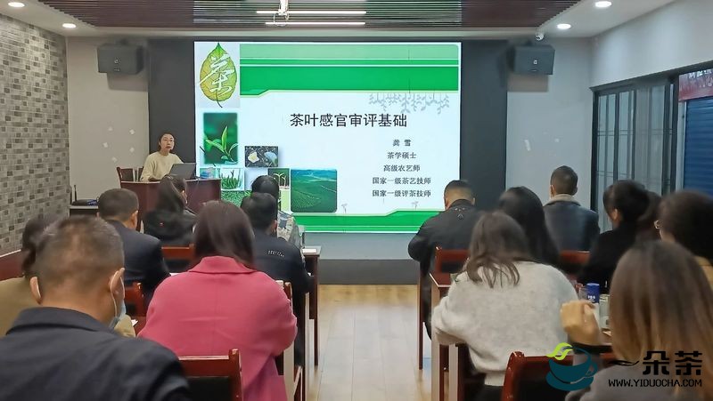 2022贵州绿茶评茶员第三期培训班第二日——读懂茶叶的色香味形