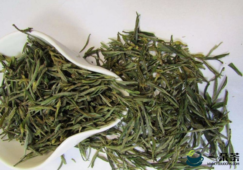 霍山黄芽是什么茶 多少钱一斤