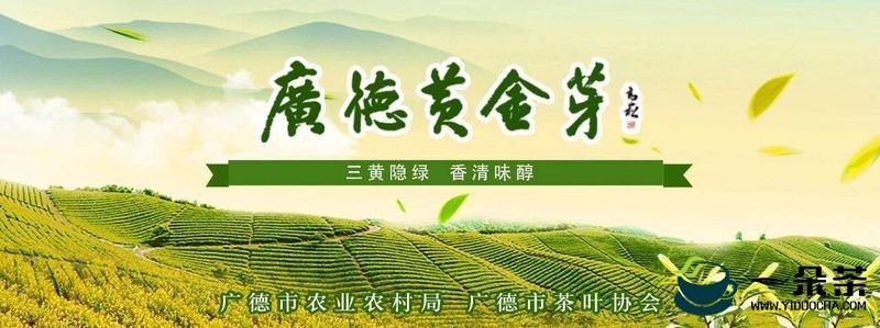 2022国际茶日“皖美茶香” 暨广德黄金芽交易市场开市活动成功举办
