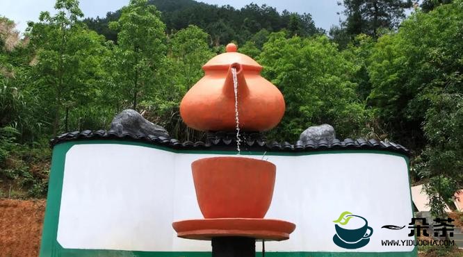 开化龙顶系列报道之生态造就高品质，打造有机茶品牌——浙江萌芽茶业有限公司