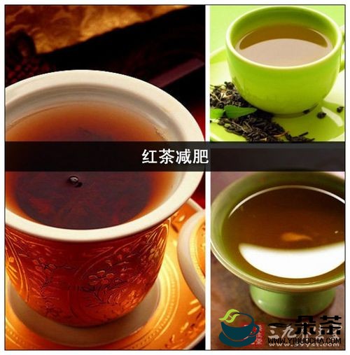 祁门红茶减肥效果明显|探索红茶的瘦身益处