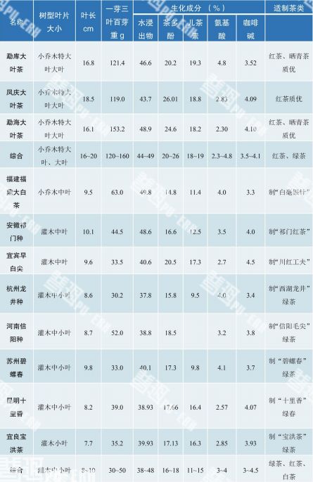 权威！云南栽培大叶种茶资源的多样性和优质性解读