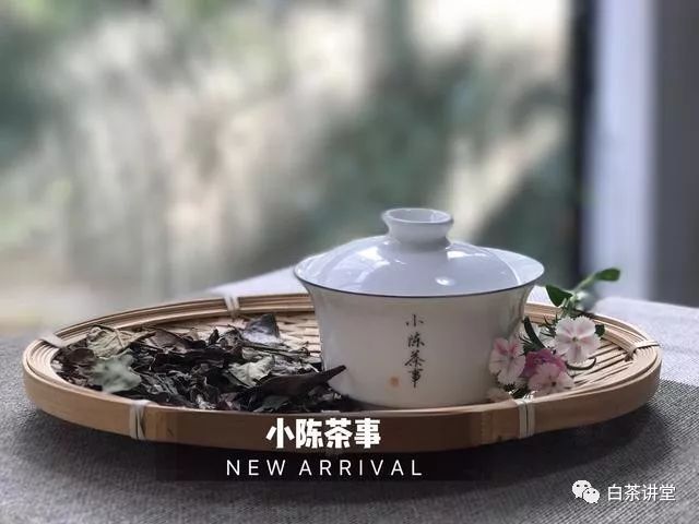 新白茶和老白茶，要怎么区分？