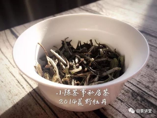 新白茶和老白茶，要怎么区分？