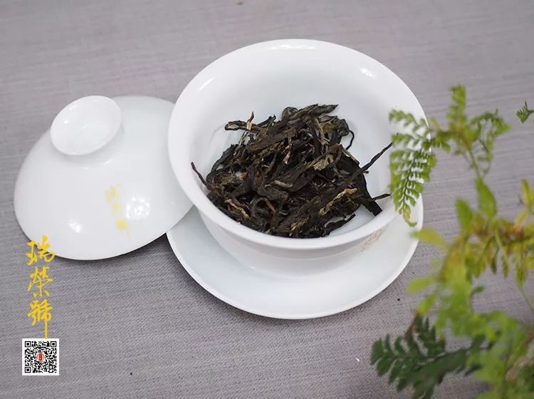 为何要“醒茶”？