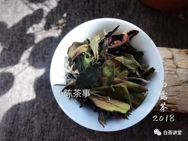 新白茶和老白茶，要怎么区分？