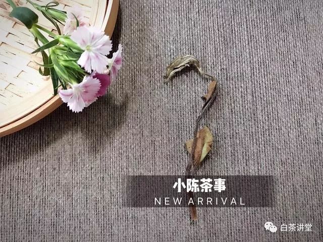 新白茶和老白茶，要怎么区分？