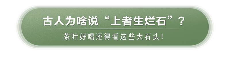 吉普号2022茶山播报02