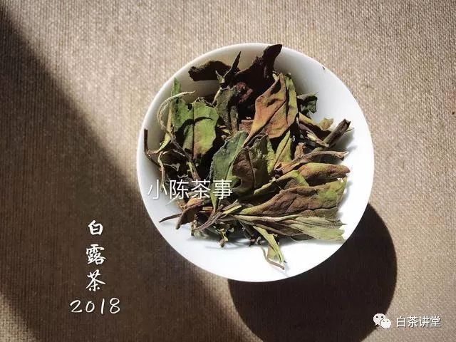 新白茶和老白茶