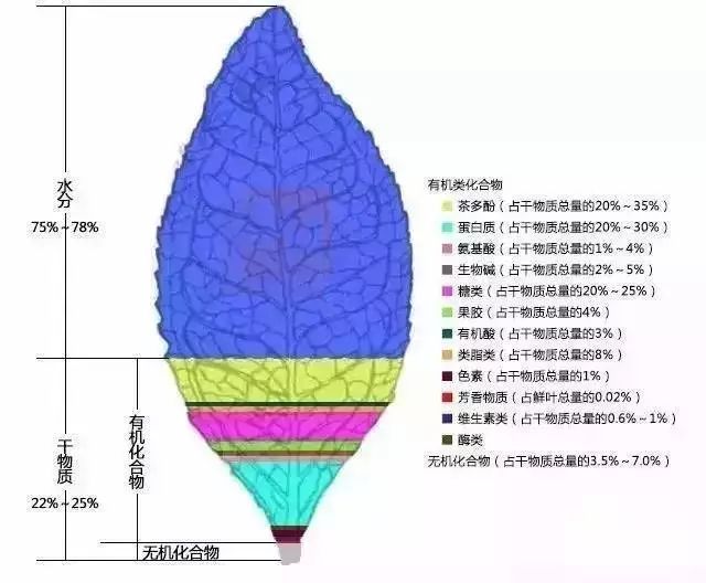 把茶叶掰开