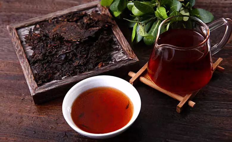 普洱生茶与熟茶的区别是什么？详解普洱生茶还是熟茶好