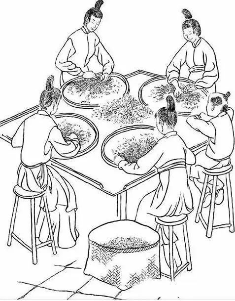 武夷岩茶采制技艺：一部活着的历史