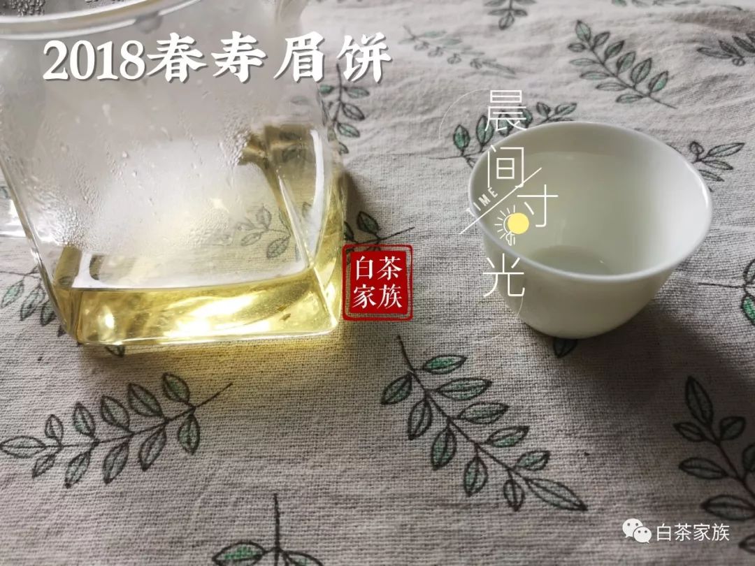 不看后悔，春白茶的二三事，不懂怎么买茶？