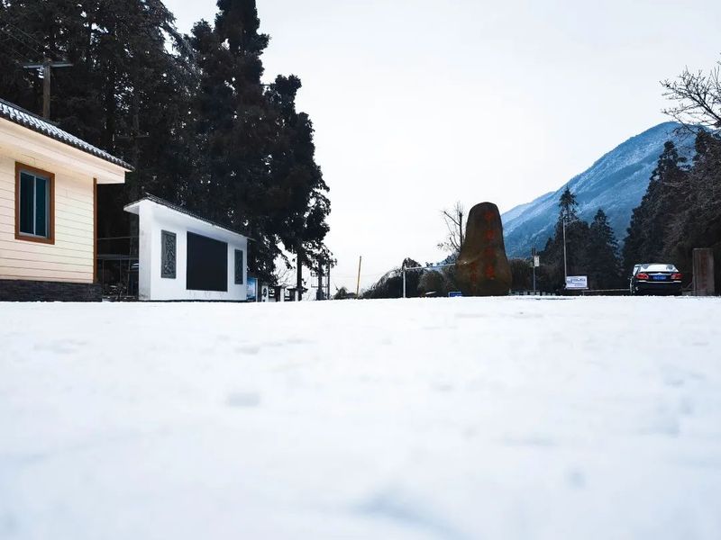 2022武夷山桐木的第一场雪