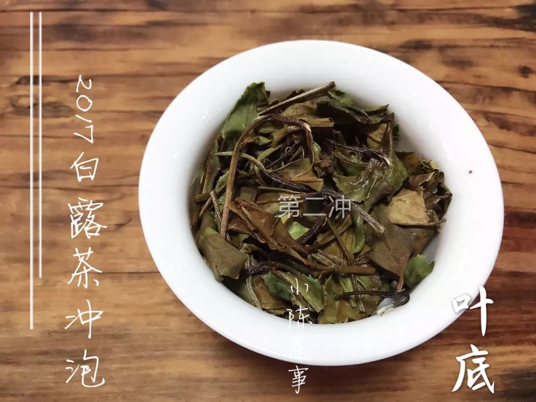 人走茶凉，说一些冲泡白茶的细节