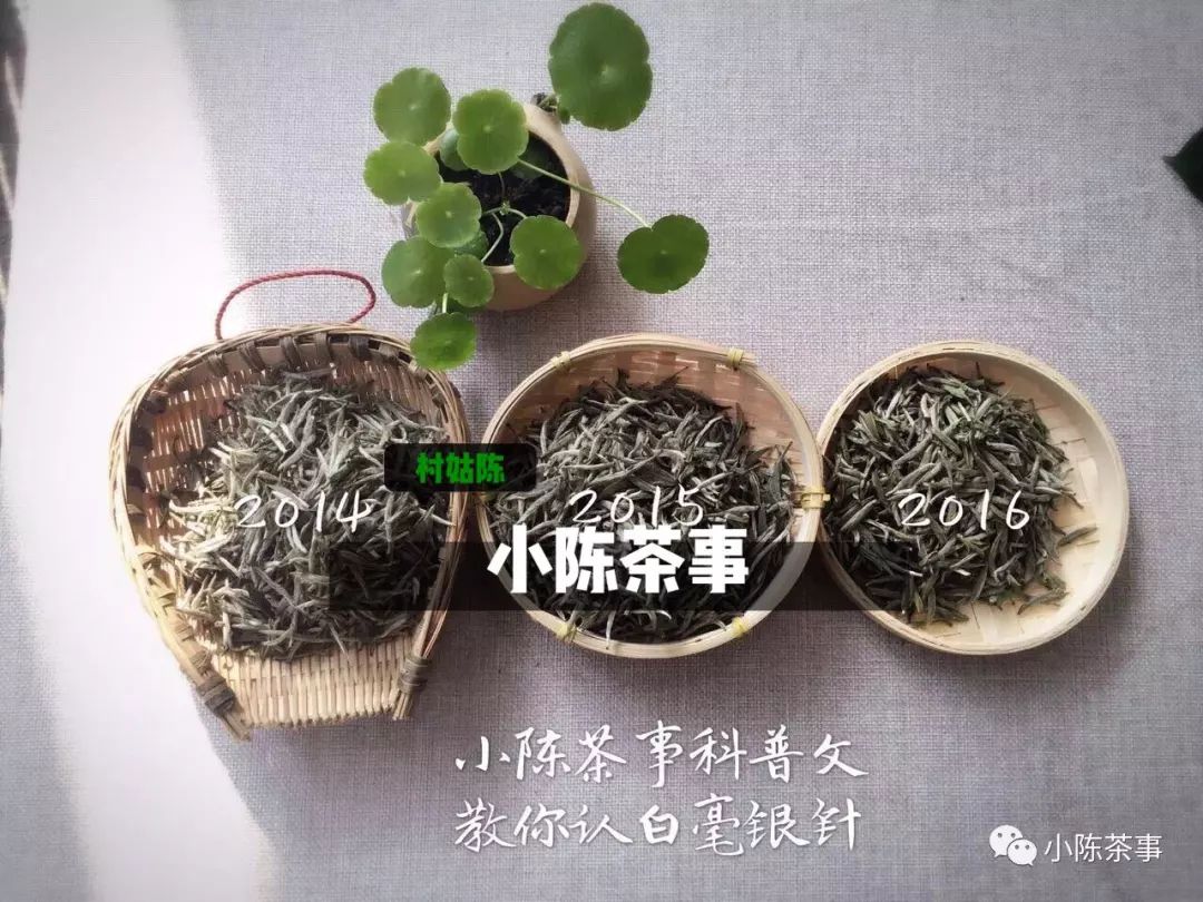 人走茶凉，说一些冲泡白茶的细节