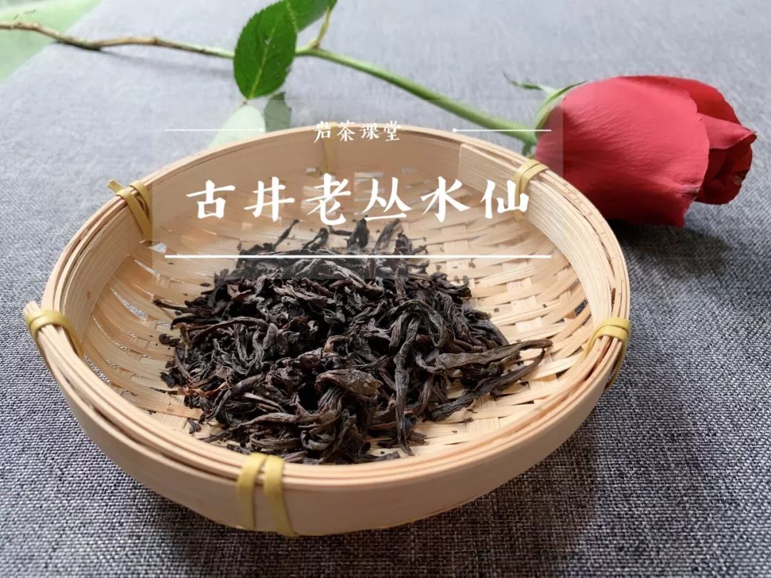 龄老的茶树，它的茶汤更清甜，汤感更醇厚吗