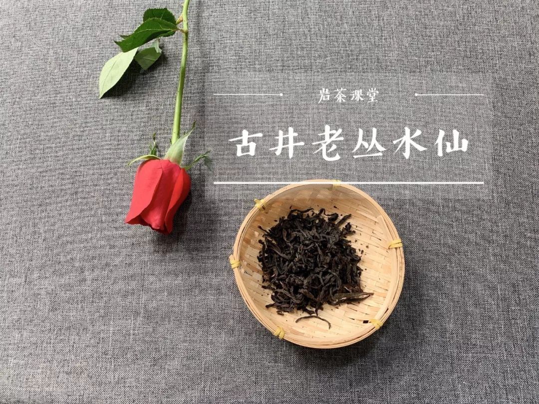 龄老的茶树，它的茶汤更清甜，汤感更醇厚吗