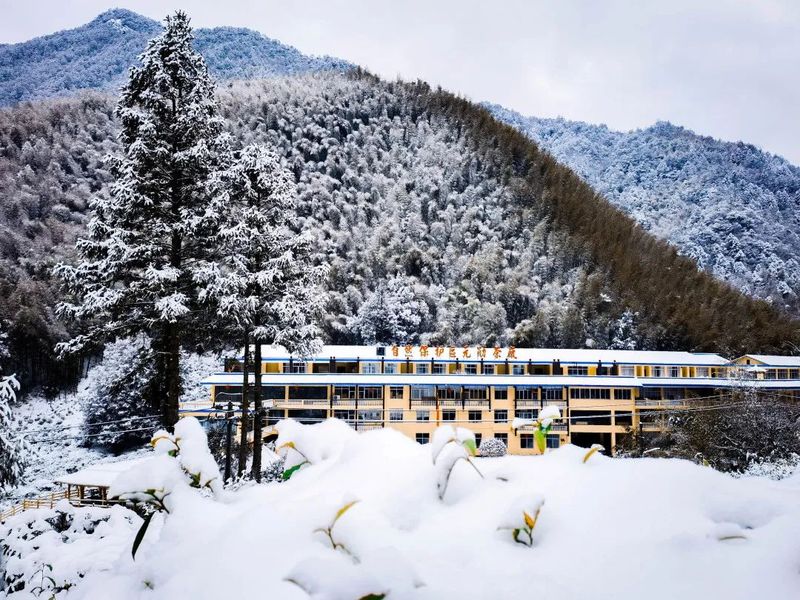 下雪了！2022武夷山桐木的第一场雪