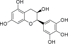 读懂古树茶你需要知道的关键词