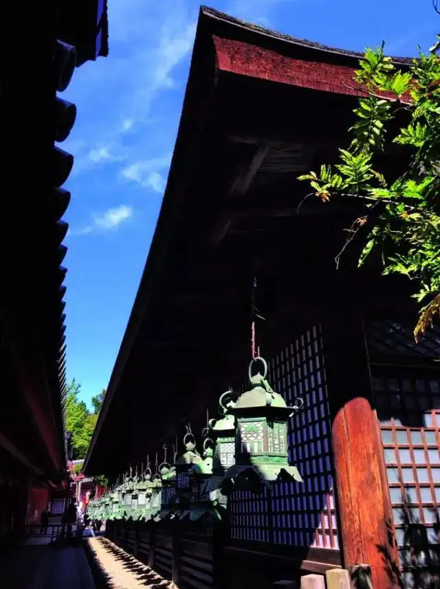 用礼仪叩开日本茶道之门，为何茶道文化至今不衰