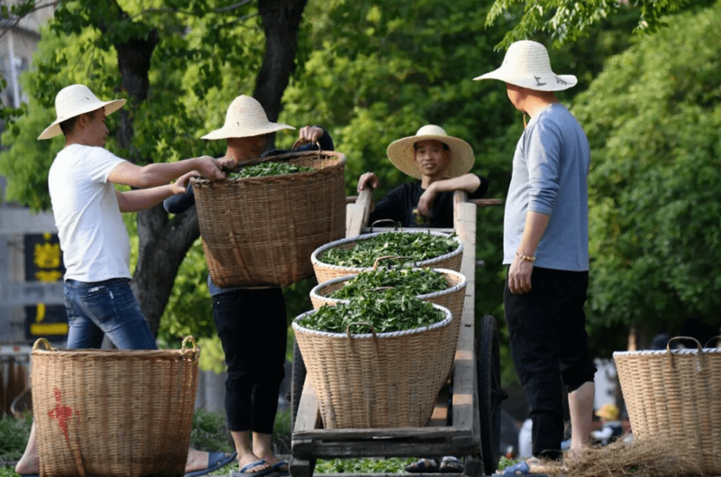 “天价岩茶”，你不讲“武德”！