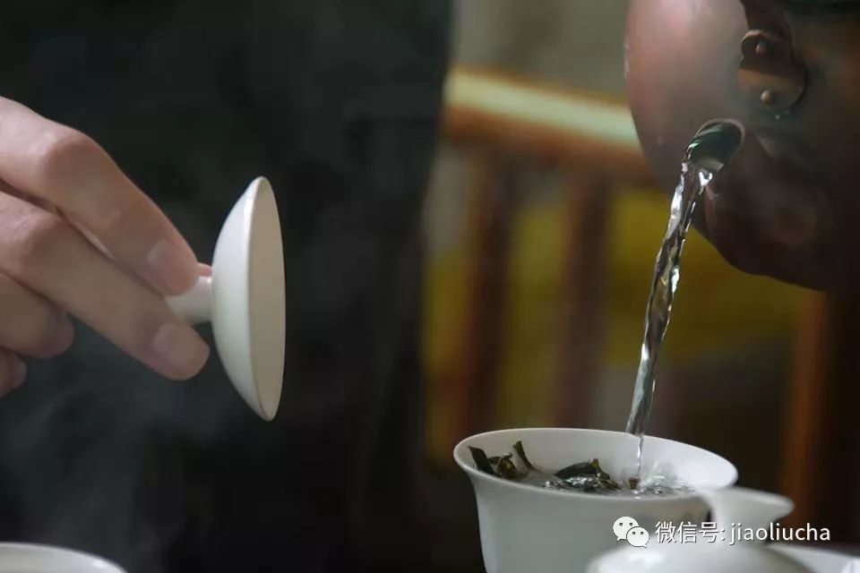 广东潮州寻遇雪片及韵香型凤凰单丛茶