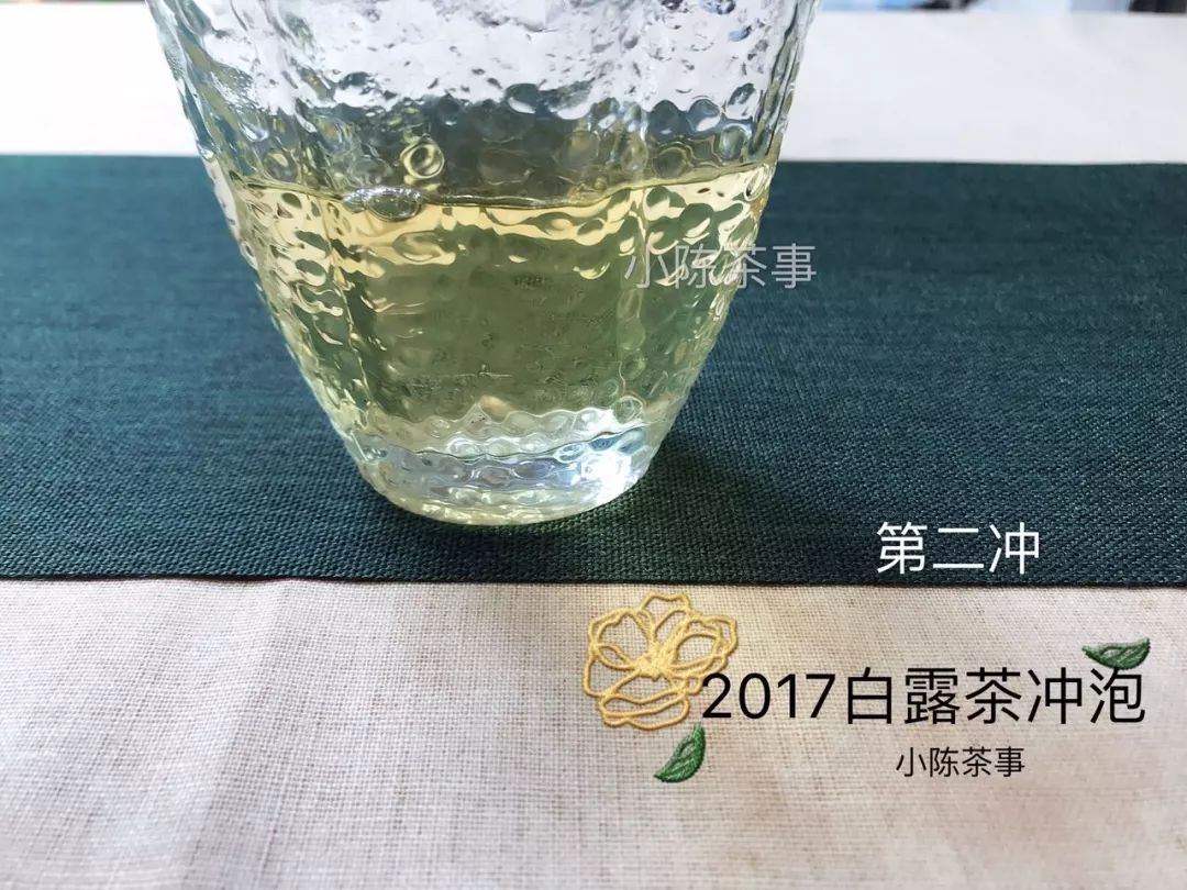 人走茶凉，说一些冲泡白茶的细节