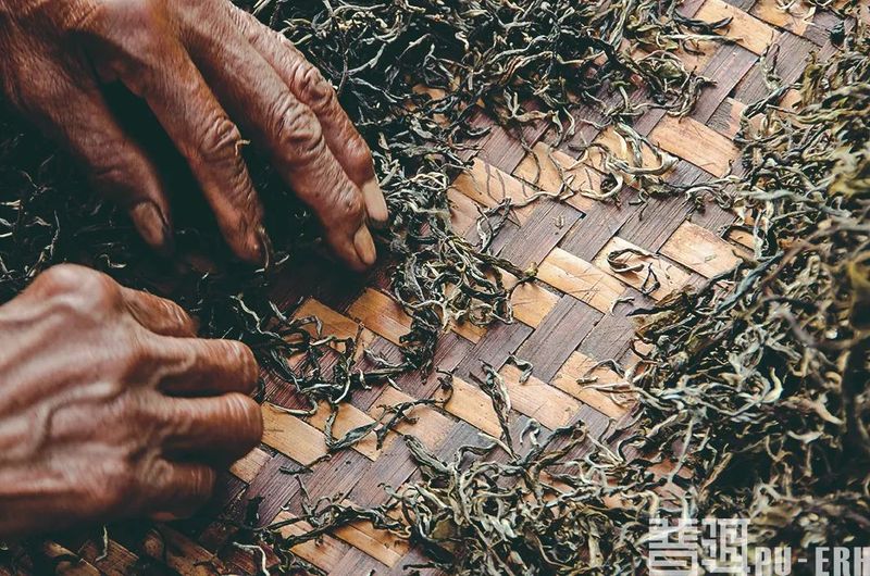 茶马古道文化 普洱茶文化之魂