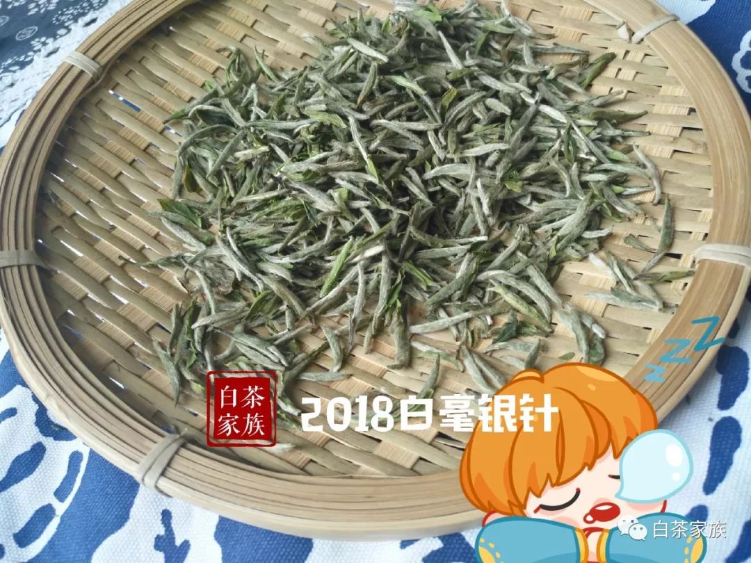 不看后悔，春白茶的二三事，不懂怎么买茶？