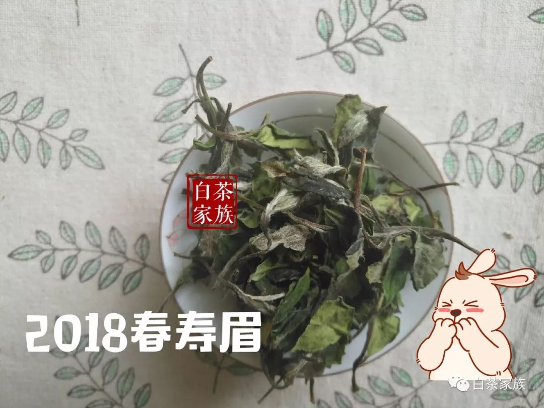 不看后悔，春白茶的二三事，不懂怎么买茶？