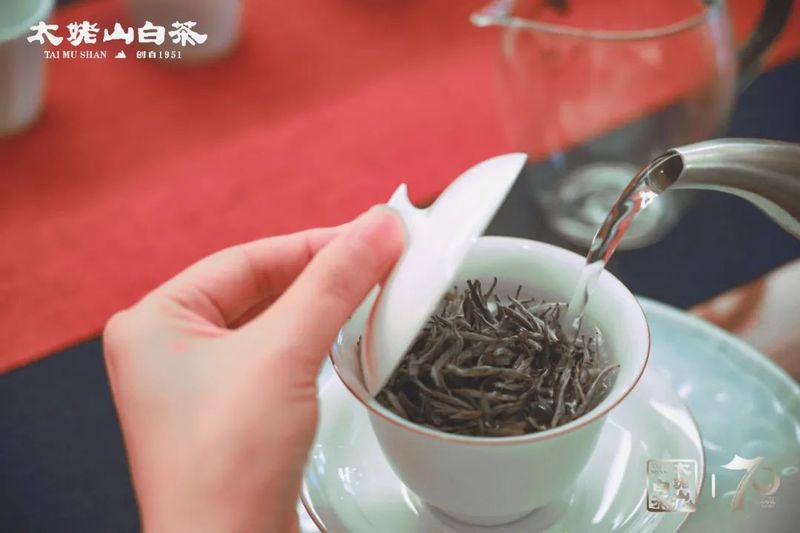 为什么茶汤里会有小茸毛？这茶还能喝吗？