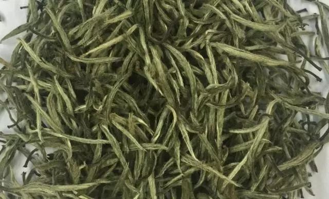 说茶白茶是什么茶，白茶从这开始学！