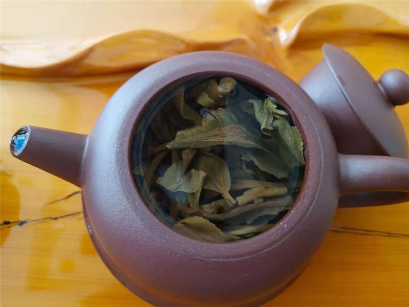紫砂小知识：紫砂壶，谁说不能泡绿茶？
