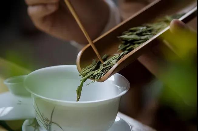 泡绿茶讲方法，才有好香气和好滋味！