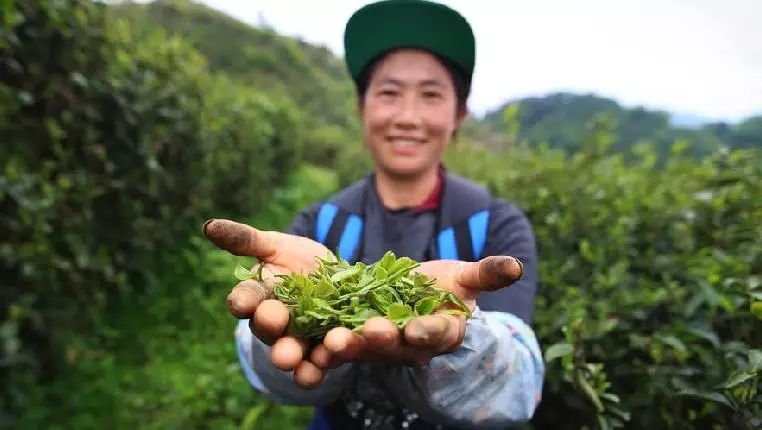 冬天如何喝茶？