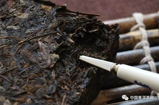 不同的普洱茶应该如何来冲泡丨实用