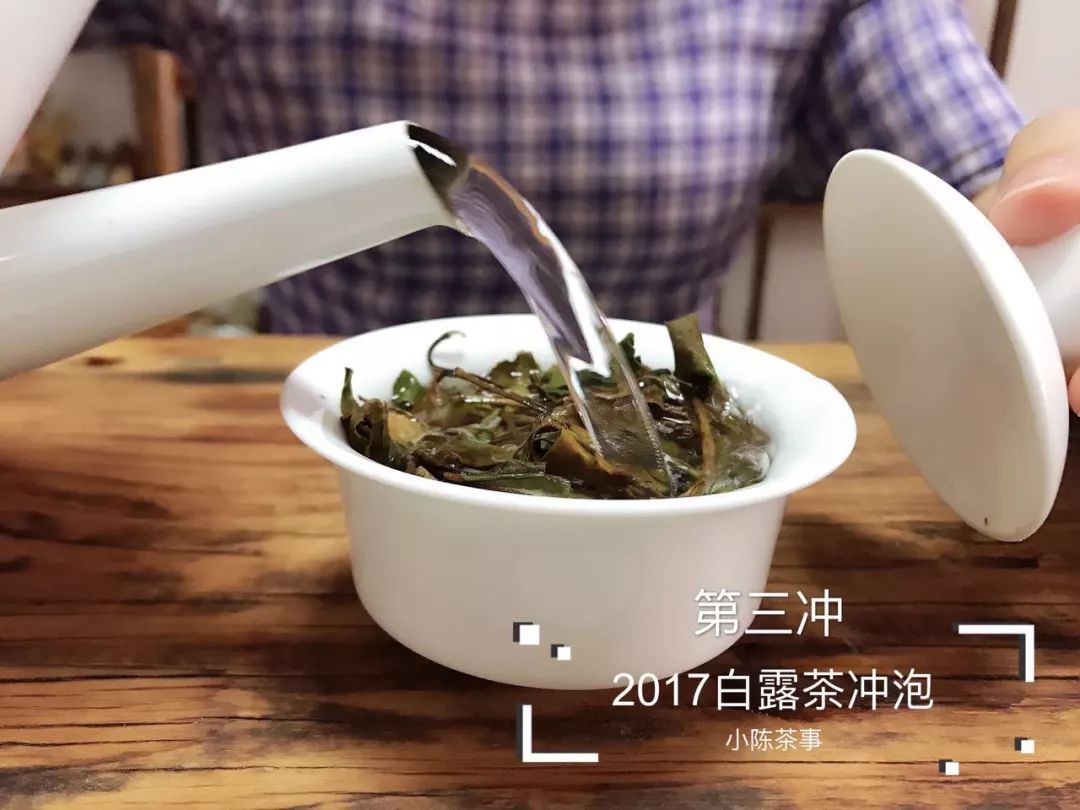 人走茶凉，说一些冲泡白茶的细节